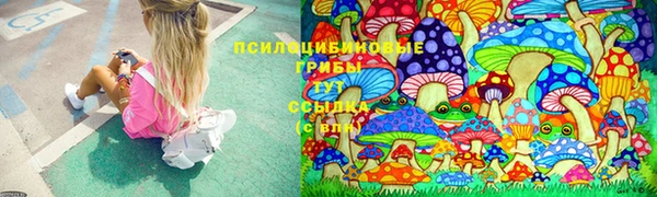 прущие крисы Армянск